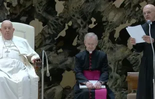 O padre Giroli leu hoje (12) a catequese preparada pelo papa Francisco | Crédito: captura de tela/Vatican Media