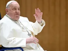 Papa Francisco na audiência geral da última quarta-feira (13).