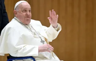 Papa Francisco na audiência geral da última quarta-feira (13).