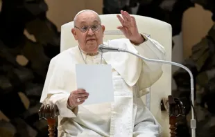 Papa Francisco na audiência geral de 12 de fevereiro de 2025.