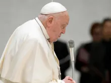 Papa Francisco em audiência geral. Imagem referencial.