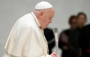 Papa Francisco em audiência geral. Imagem referencial.