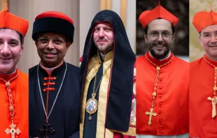 Cardeal Francis Leo, cardeal George Jacob Koovakad, cardeal Mykola Bychok, cardeal Giorgio Marengo e cardeal Américo Manuel Aguiar Alves.