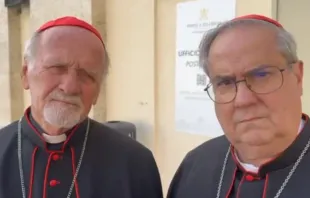 Cardeais Bokalic e Rossi em Roma.