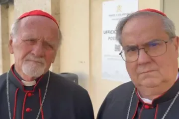 Cardeais Bokalic e Rossi em Roma