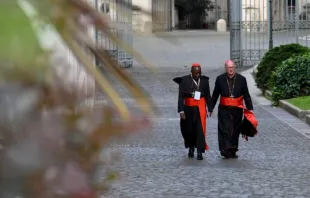 Cardeais a caminho de congregação-geral no Vaticano em 29 de abril de 2025.