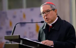 Cardeal Luis José Rueda Aparicio no Congresso Missionário Nacional realizado em Bogotá, Colômbia, em julho do ano passado.