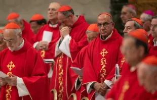 Cardeais eleitores em missa de Novendiales.
