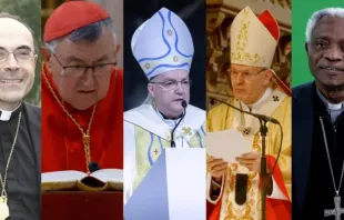Da esquerda para a direita: cardeal Philippe Barbarin, cardeal Vinko Puljić, cardeal Josip Bozanić, cardeal Péter Erdő e cardeal Peter Turkson.