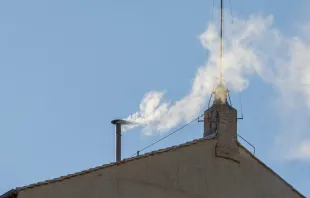 Fumaça branca anuncia novo papa no Vaticano hoje (7).