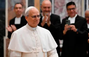 Papa Leão XIV em encontro hoje (15) com os Irmãos das Escolas Cristãs, no Vaticano.