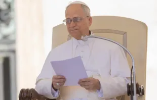 Leão XIV hoje (28), no Vaticano, em sua segunda audiência-geral.