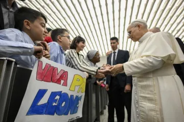 Leão XIV se encontra com funcionários da Santa Sé e suas famílias na Aula Paulo VI
