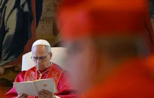 Papa Leão XIV, em consistório público que celebrou hoje (13).