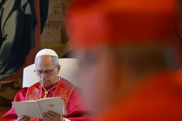 Papa Leão XIV em consistório público em 13 de junho de 2025