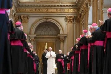 Leão XIV recebe membros da CEI no Vaticano em 17 de junho de 2025