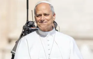 Leão XIV na audiência geral de hoje (18).