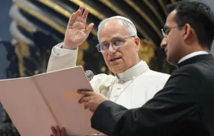 Papa Leão XIV. Imagem referencial.