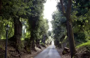 Jardins Vaticanos em Castel Gandolfo, Itália.