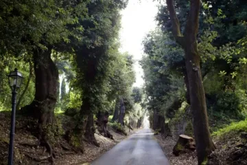 Jardins Vaticanos em Castel Gandolfo