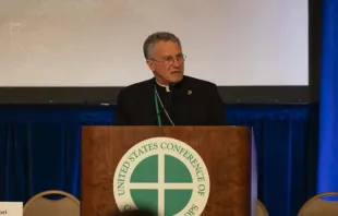 O arcebispo do ordinariado militar dos EUA, Timothy Broglio, presidente da Conferência dos Bispos Católicos dos EUA (USCCB, na sigla em inglês), discursa em reunião da USCCB em 13 de junho de 2024.