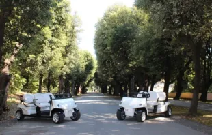 Os dois "papamóveis" doados ao papa Leão XIV na última quinta-feira (3).