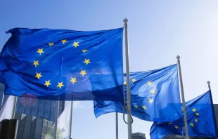 Bandeiras da União Europeia. Imagem referencial.