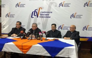 Membros da CEV em entrevista coletiva na última sexta-feira (11).