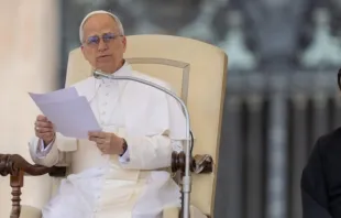 Papa Leão XIV em audiência geral no Vaticano.