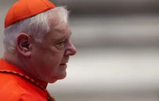 Cardeal Gerhard Ludwig Müller, prefeito emérito do Dicastério para a Doutrina da Fé, na basílica de São Pedro em 29 de março de 2019.