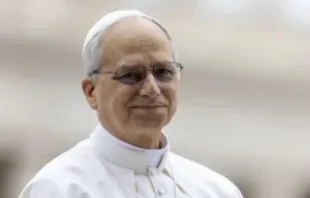 Papa Leão XIV. Imagem referencial.