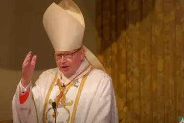 Cardeal Willem Eijk prega em missa em 31 de julho de 2025