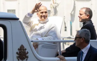 Papa Leão XIV. Imagem referencial.