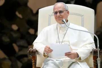 Papa Leão XIV na Aula Paulo VI