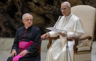 Papa Leão XIV na audiência geral de hoje (13), no Vaticano.