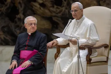 Papa Leão XIV na audiência geral de 13 de agosto de 2025 no Vaticano