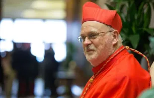 O bispo de Estocolmo, Suécia, cardeal Anders Arborelius, num consistório na basílica de São Pedro, em 28 de junho de 2017.