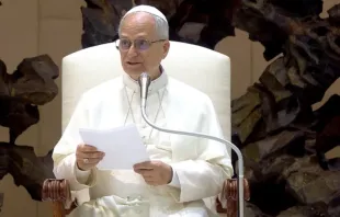 Papa Leão XIV na audiência geral de hoje (20) no Vaticano.