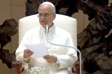 Papa Leão XIV na audiência geral de 20 de agosto de 2025 no Vaticano