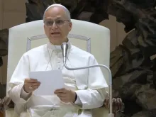 O papa Leão XIV na catequese de hoje (27) no Vaticano.