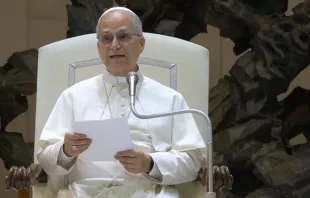 O papa Leão XIV na catequese de hoje (27) no Vaticano.