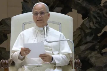 Leão XIV na catequese de 27 de agosto de 2025 no Vaticano