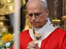 Papa Leão XIV. Imagem referencial.