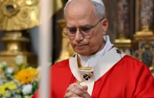 Papa Leão XIV. Imagem referencial.