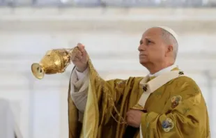 O papa Leão XIV hoje (7) na missa de canonização de Carlo Acutis e Pier Giorgio Frassati.