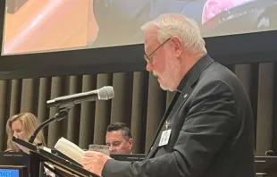 O secretário de Relações com os Estados da Santa Sé, arcebispo Paul R. Gallagher, faz discurso na sede da Organização das Nações Unidas (ONU), em Nova York, EUA, em 23 de setembro de 2025.