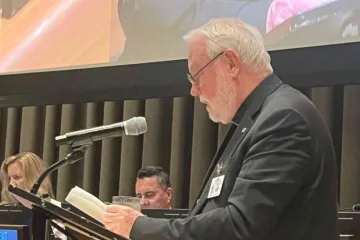 Paul R. Gallagher faz discurso na sede da ONU em Nova York em 23 de setembro de 2025