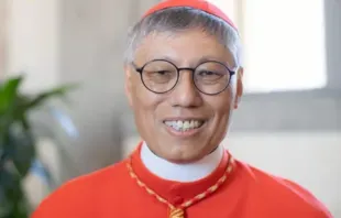 O bispo de Hong Kong, cardeal Stephen Chow Sau-yan.
