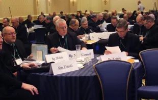 Membros da Conferência de Bispos Católicos dos EUA (USCCB, na sigla em inglês) se reúnem para a assembleia geral anual de outono de 2022 em Baltimore, Maryland, EUA.