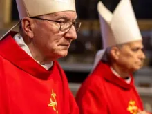 Cardeal Pietro Parolin numa das missas da Novendalia em sufrágio do papa Francisco.